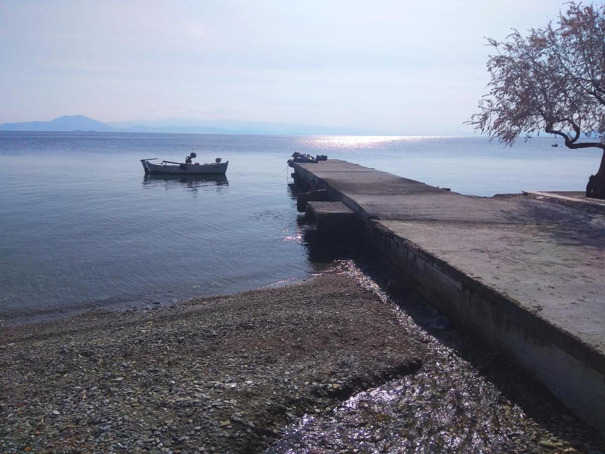 Marina Traditional Stonehouse Afétai Екстериор снимка